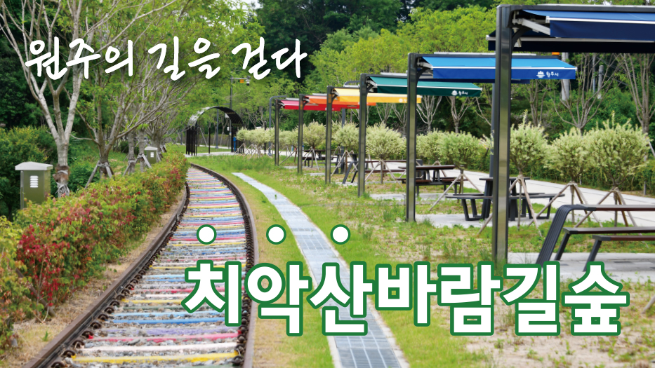 원주시 배너광고