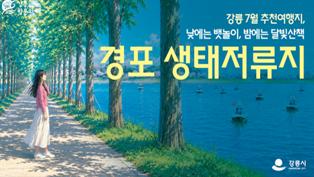 강릉시 배너광고