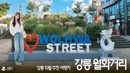 강릉시 배너광고