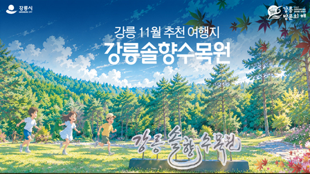 강릉시 배너광고