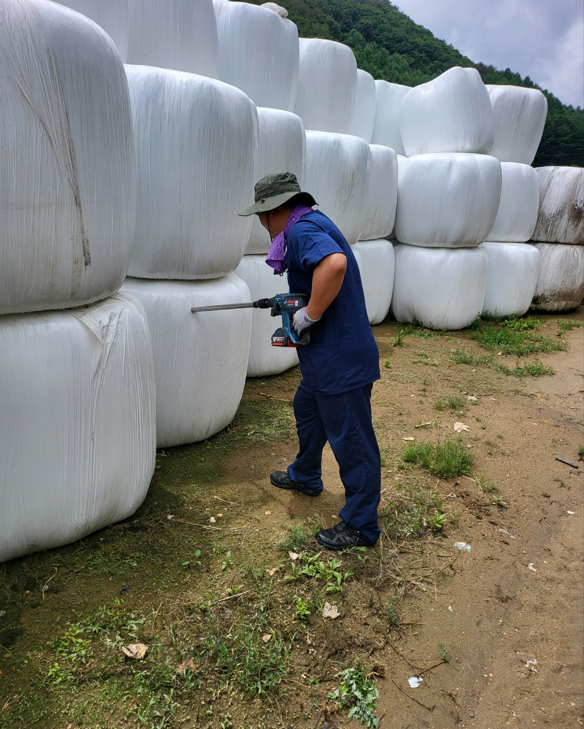 도 축산기술연구소, 조사료 품질검사 마무리
