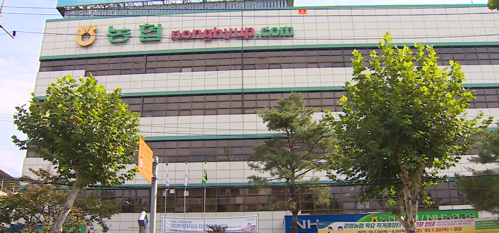 강원농협 연합판매사업 4천억 돌파