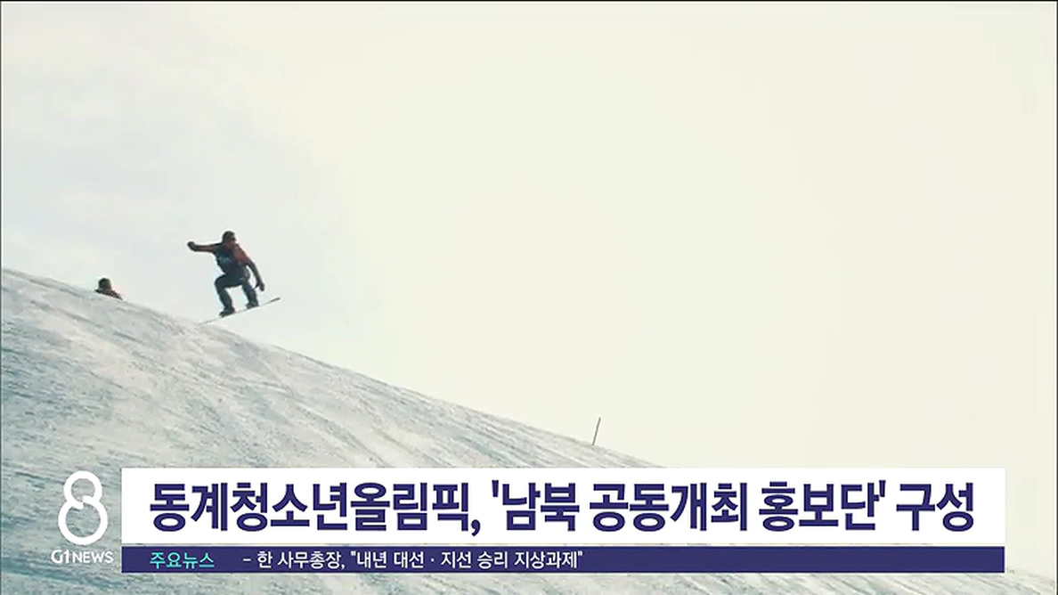 동계청소년올림픽, '남북 공동개최 홍보단' 구성