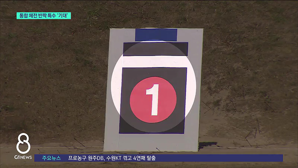 통합 체전 반짝 특수 '기대' 