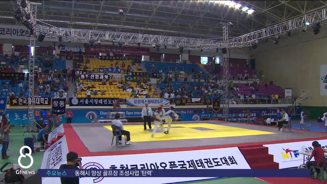 세계 태권도 한마당 올해는 정상 개최 