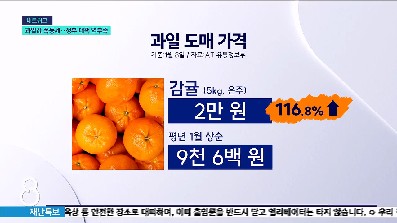 <네트워크> 과일값 폭등세 계속..정부 대책 역부족 