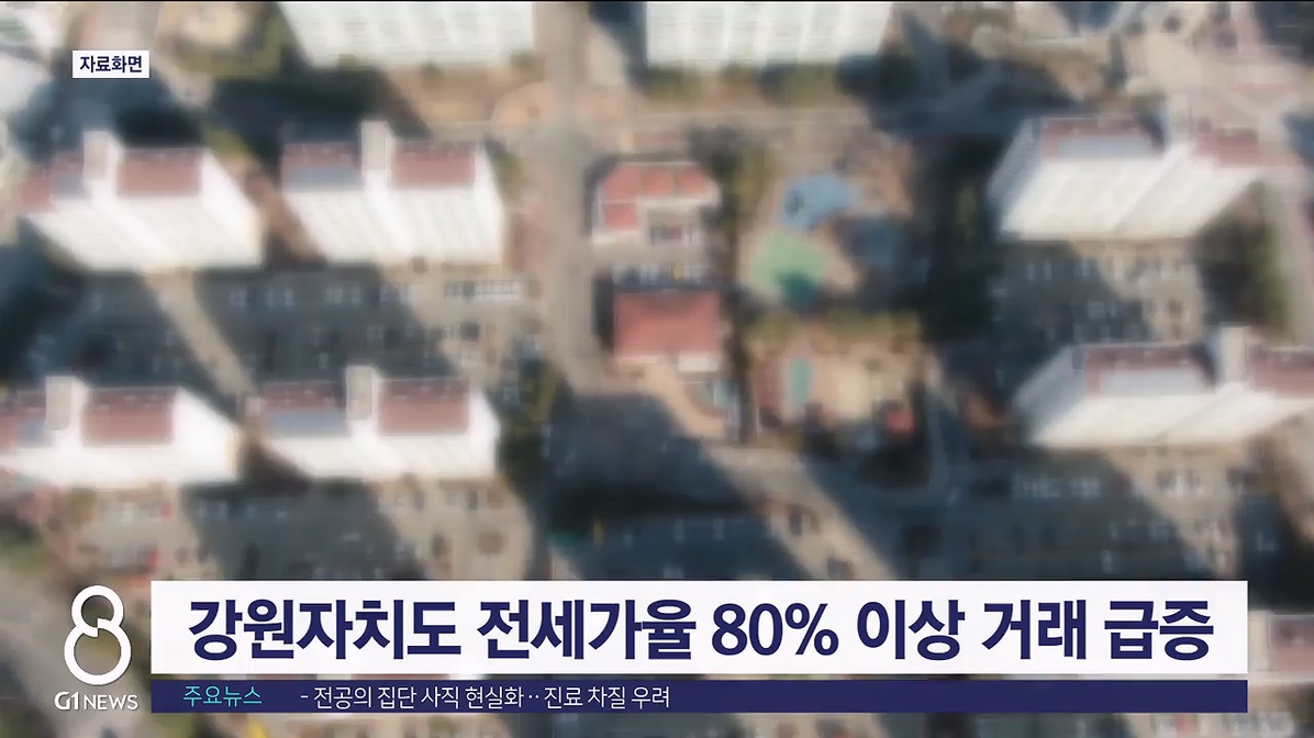 강원자치도 전세가율 80% 이상 거래 급증
