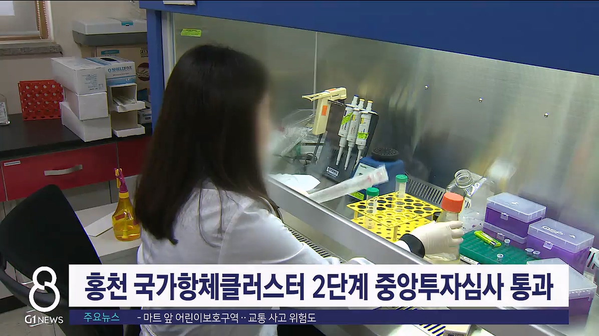 홍천 국가항체클러스터 2단계 중투 통과