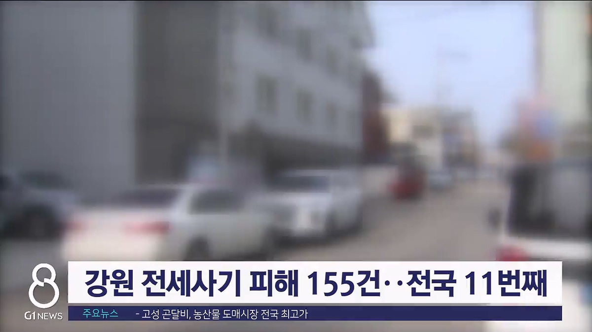 강원 전세사기 피해 155건..전국 11번째