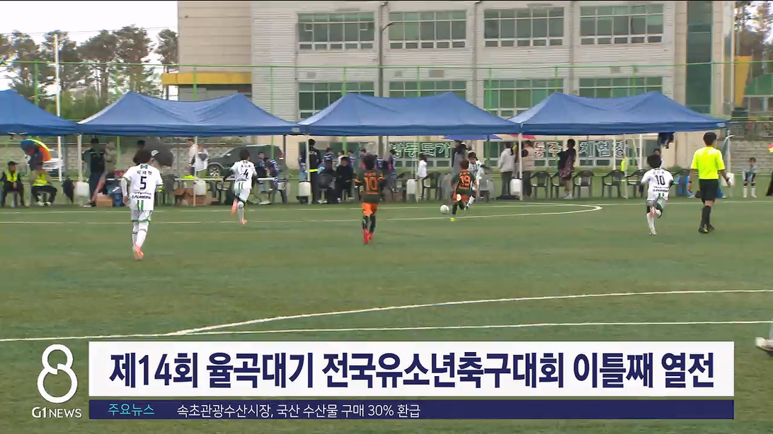 제14회 율곡대기 전국유소년축구대회 이틀째 열전