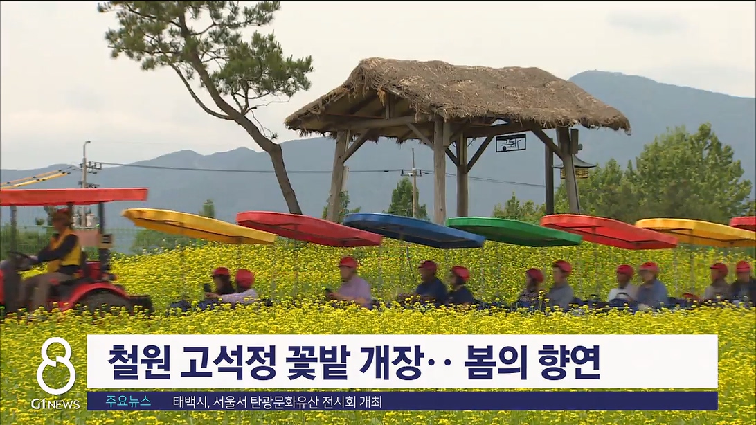 철원 고석정 꽃밭 개장.. 봄의 향연