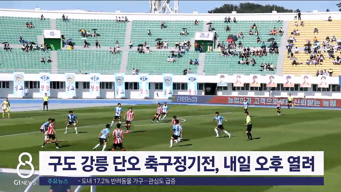 구도 강릉 단오 축구정기전, 내일 오후 열려