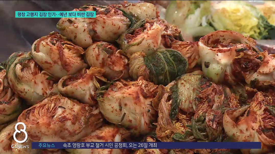평창 고랭지 김장 인기..예년 보다 비싼 김장 