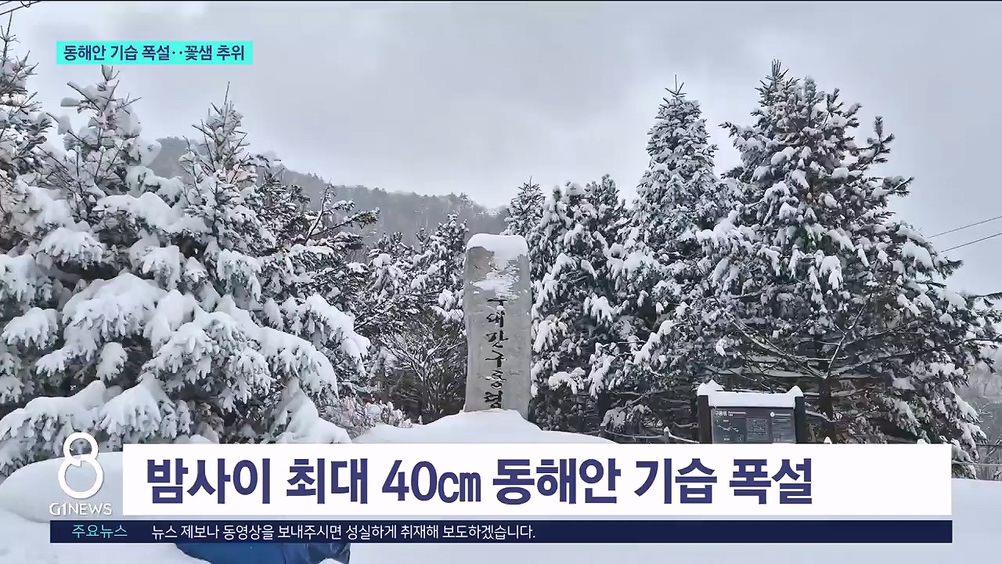 동해안 기습 폭설..꽃샘 추위  