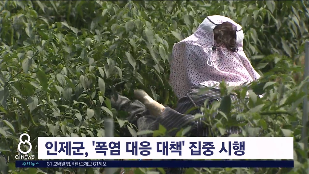 인제군, '폭염 대응 대책' 집중 시행