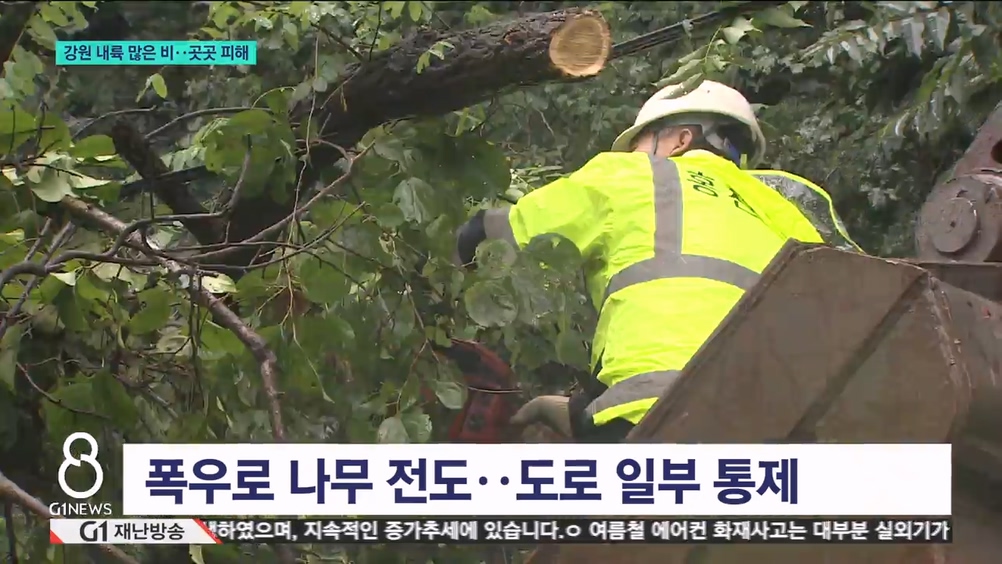 강원 내륙 많은 비..곳곳 피해 
