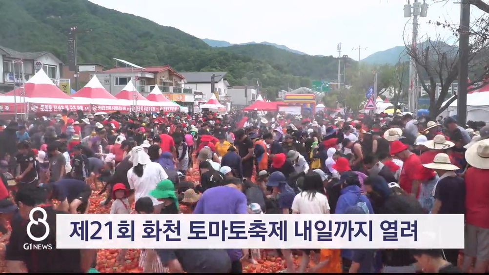 제21회 화천 토마토축제 내일까지 열려