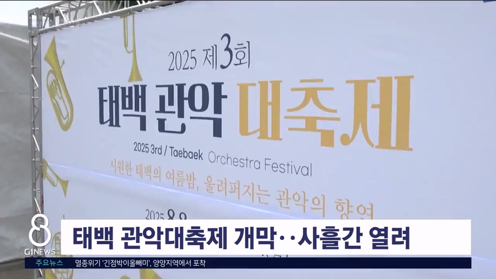 태백 관악대축제 개막..사흘간 열려