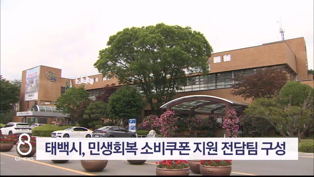 태백시, 민생회복 소비쿠폰 지원 전담팀 구성