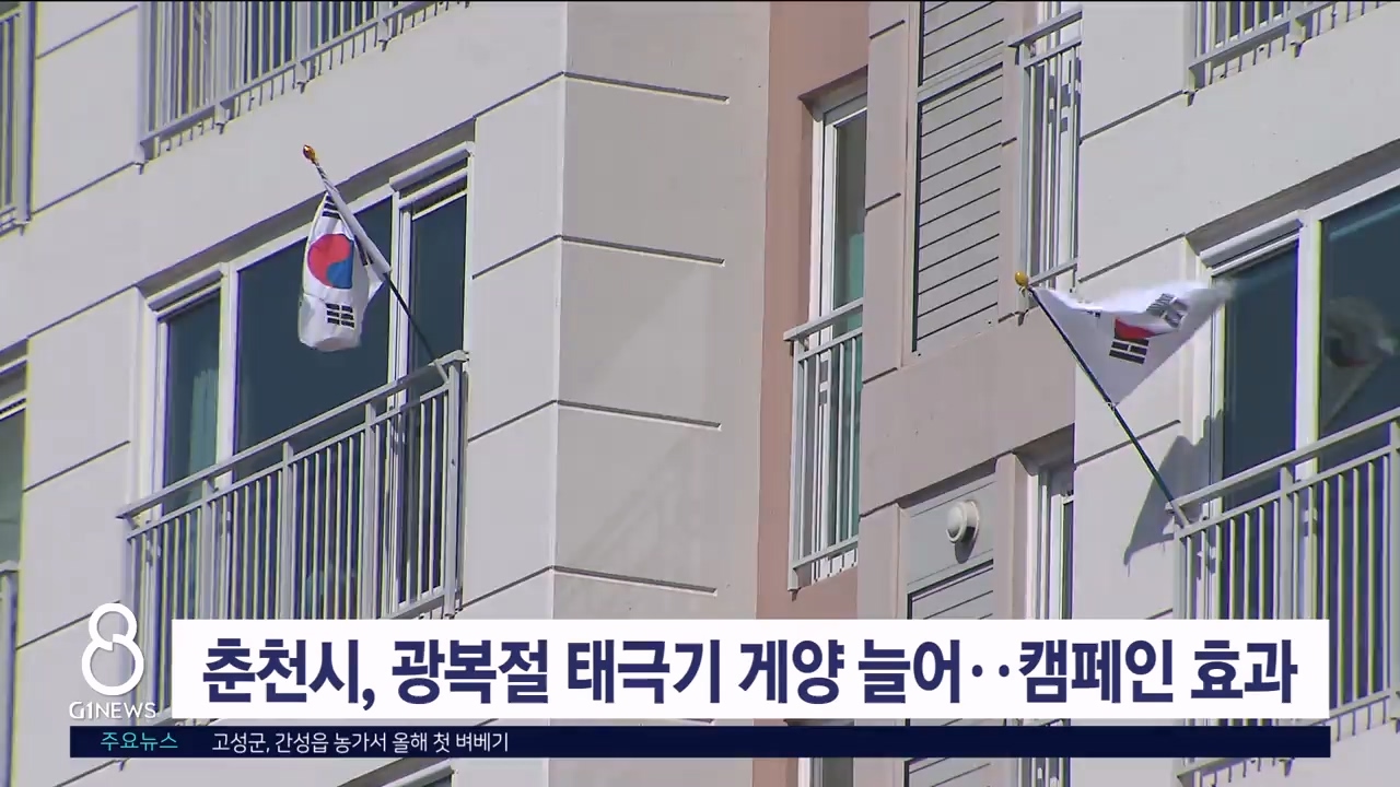 춘천시, 광복절 태극기 게양률 늘어..캠페인 효과