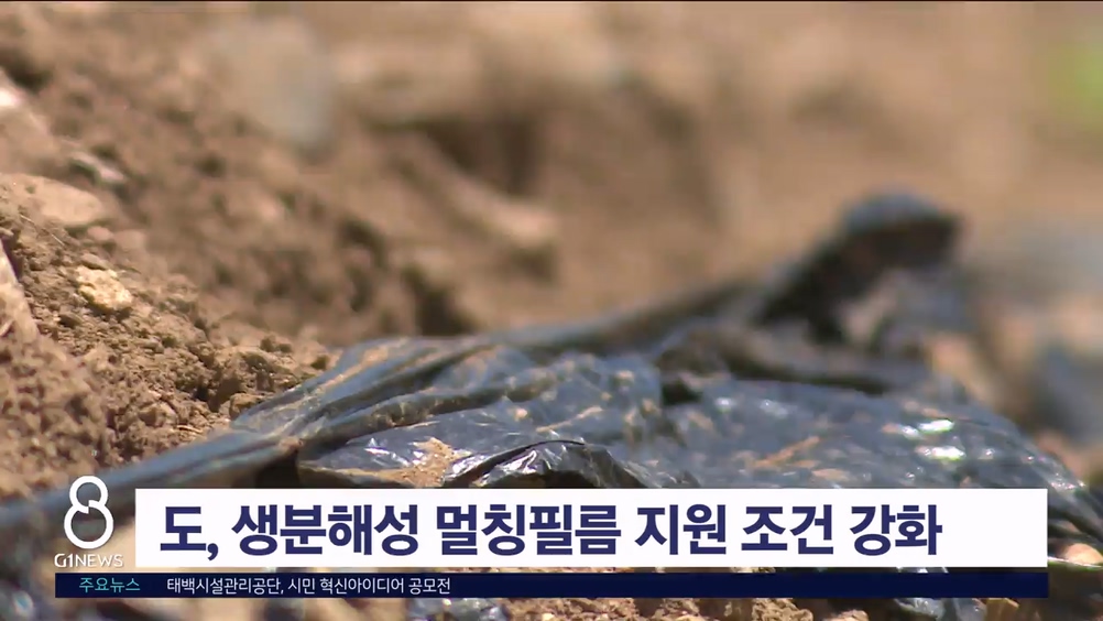 <속보> 도, 생분해성 멀칭필름 지원 조건 강화