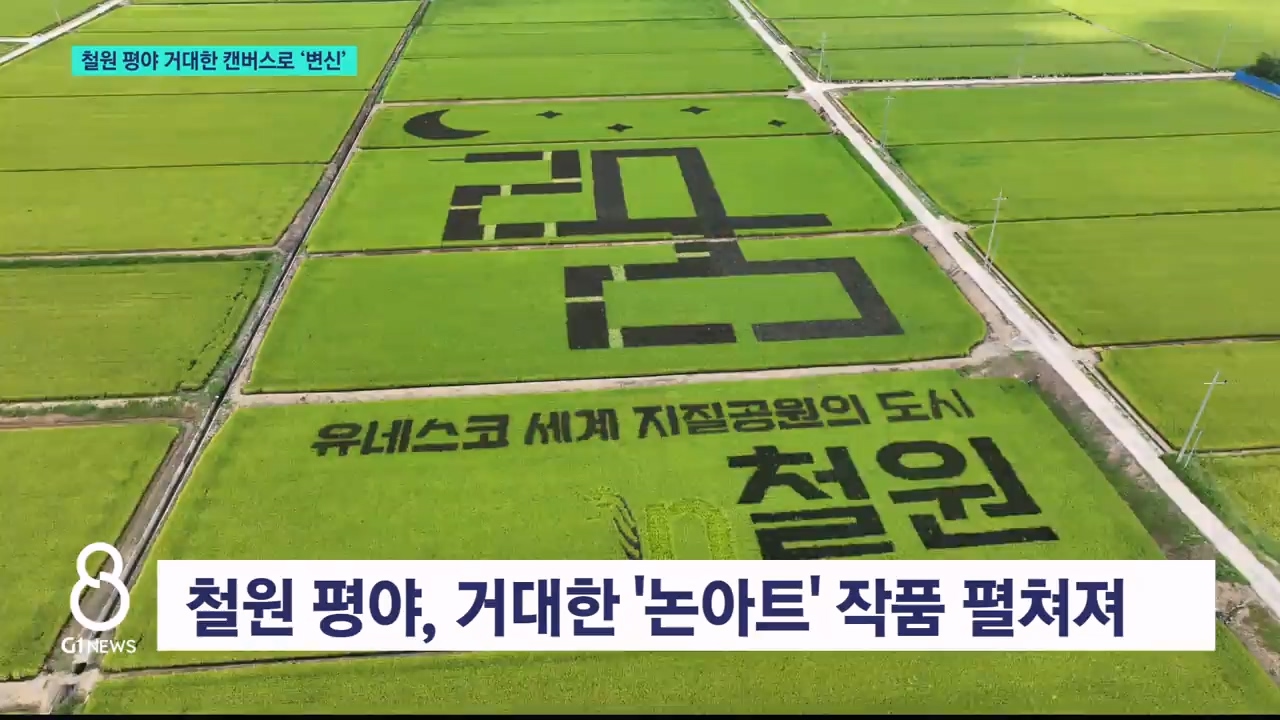 철원 평야 거대한 캔버스로 '변신' 