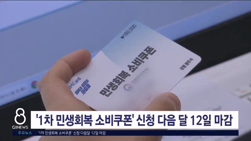 '1차 민생회복 소비쿠폰' 신청 다음달 12일 마감