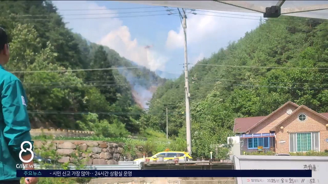 오늘 오전, 벌집 제거 하려다 산불..6시간여만에 진화