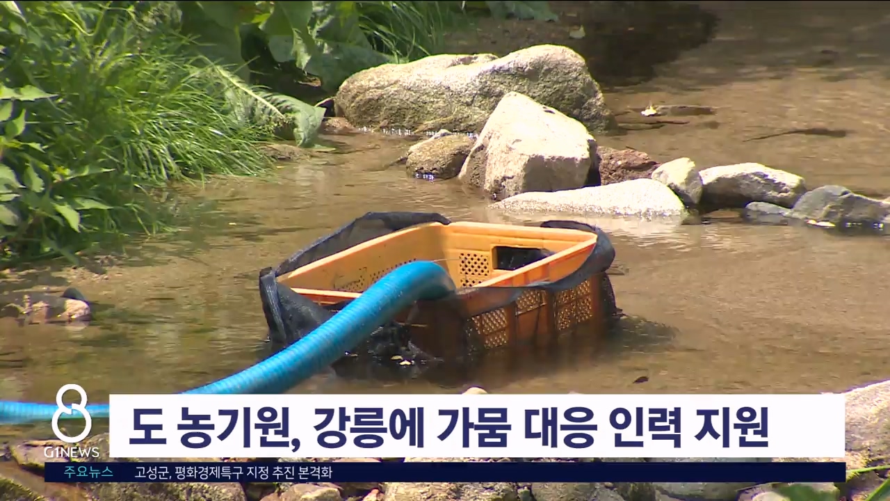 도 농기원, 강릉에 가뭄 대응 인력 지원