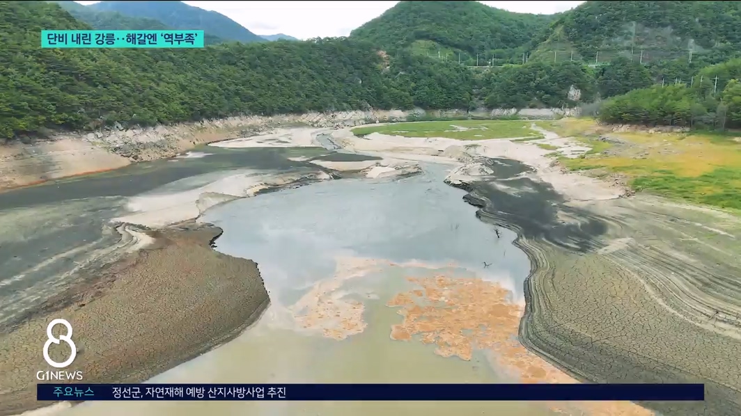 단비 내린 강릉..해갈엔 '역부족' 