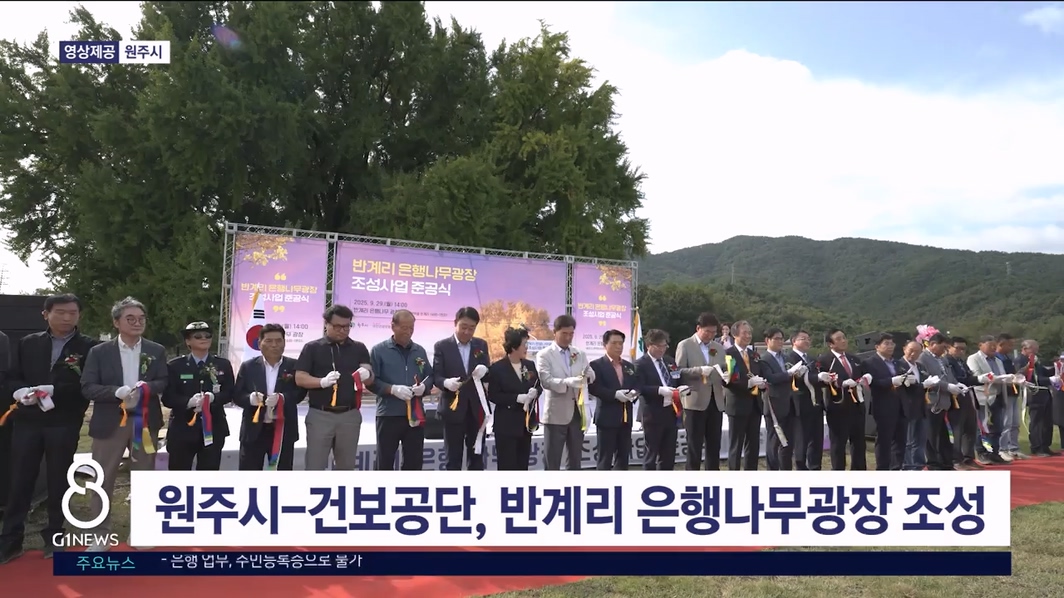 원주시-건보공단, 반계리 은행나무광장 조성