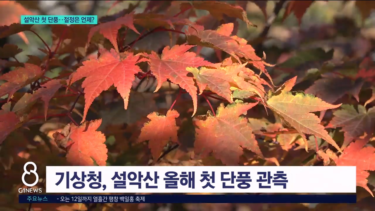 설악산 첫 단풍..절정은 언제? 