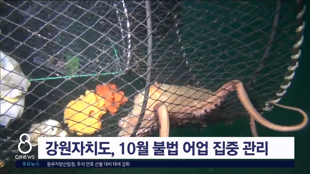 강원자치도, 10월 불법 어업 집중 관리 기간 운영