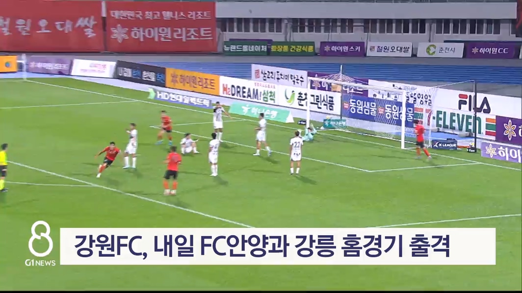 강원FC, 내일 FC안양과 강릉 홈경기 출격