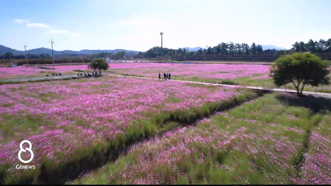 춘천 의암호 호수 'K-호수정원' 변신 