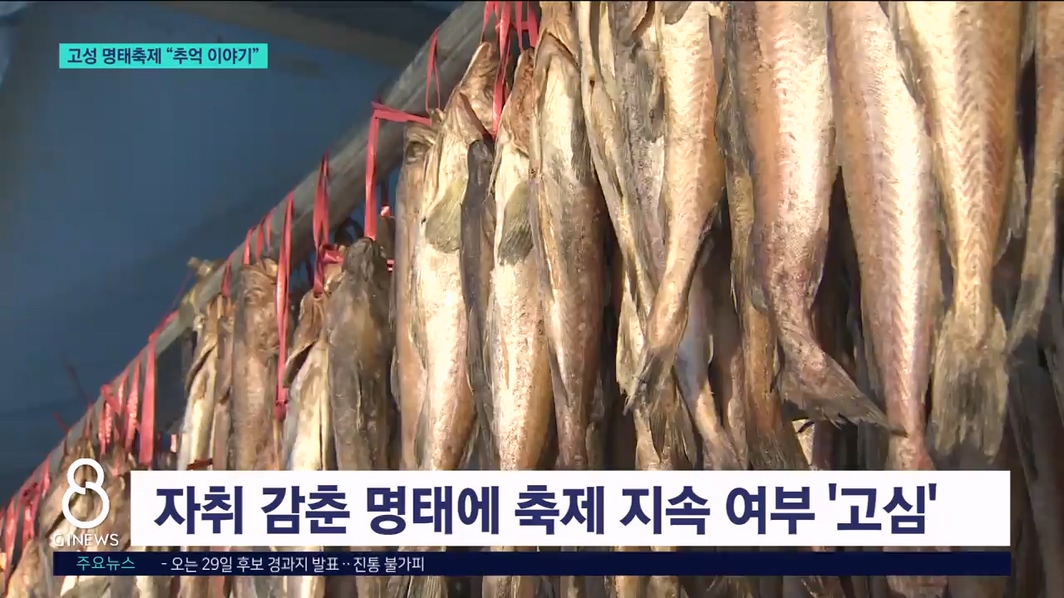 고성 명태축제 "추억 이야기"  