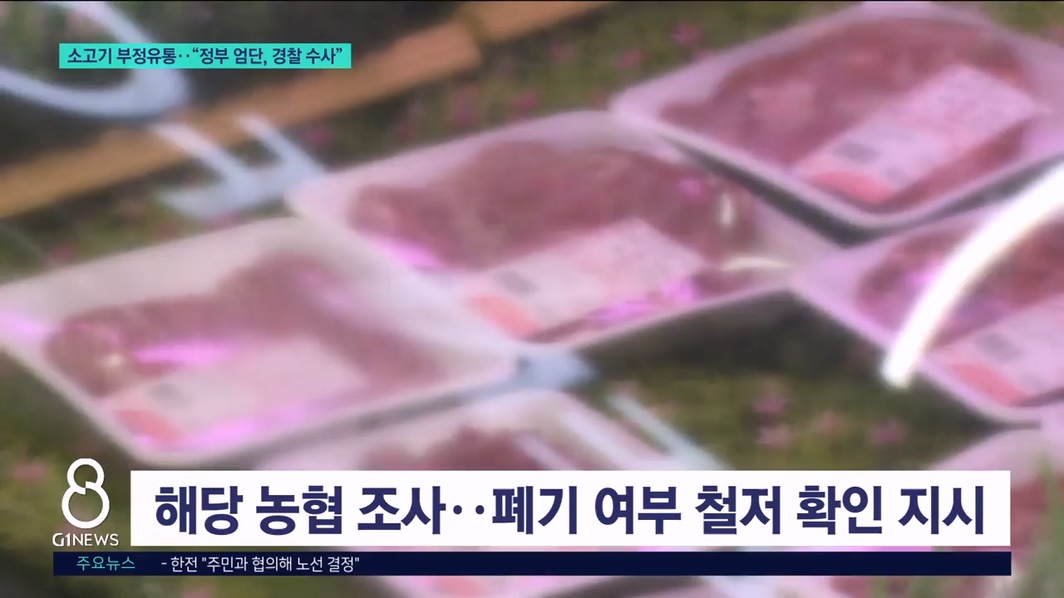 소고기 부정유통.."정부 엄단, 경찰 수사" 