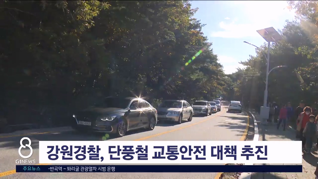 강원경찰, 단풍철 교통안전 대책 추진