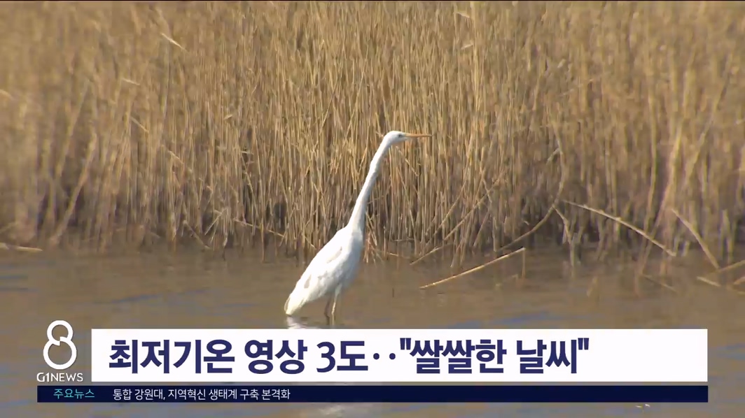 최저기온 영상 3도.."쌀쌀한 날씨"