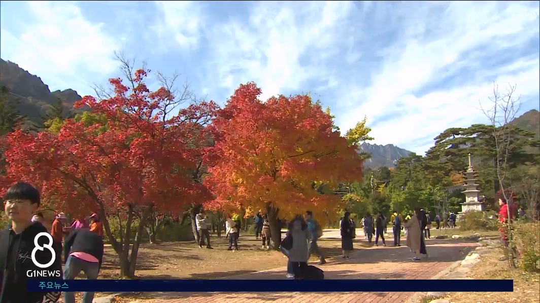 '산악 관광 1번지' 설악동..재건 속도 