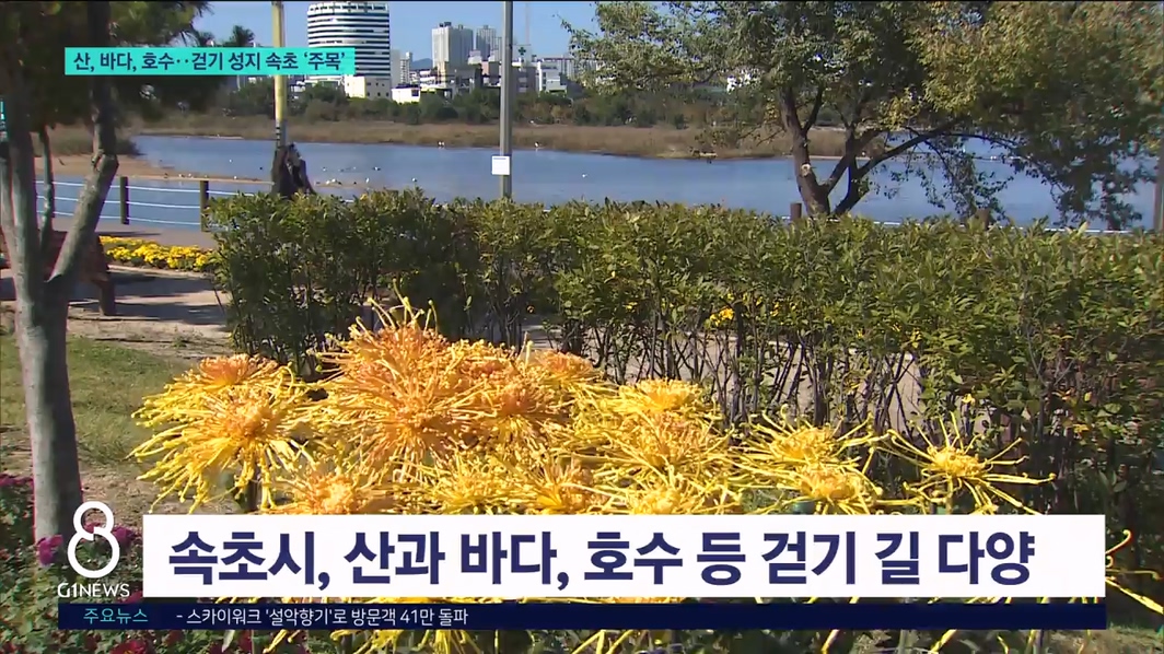 산, 바다, 호수..걷기 성지 속초 '주목' 