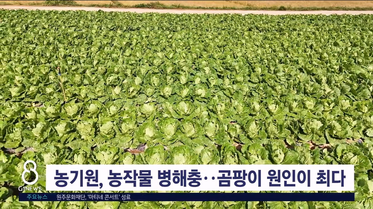 농기원, 농작물 병해충..곰팡이 원인이 최다