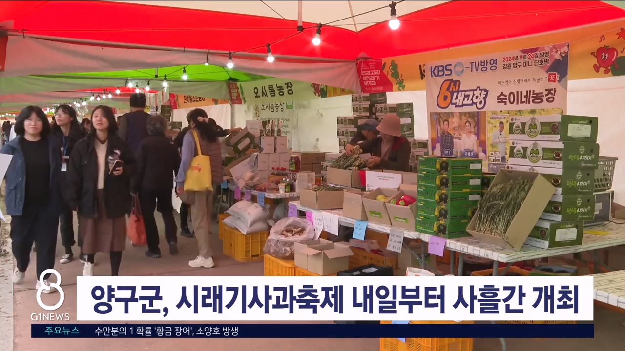 양구군, 시래기사과축제 내일부터 사흘간 개최
