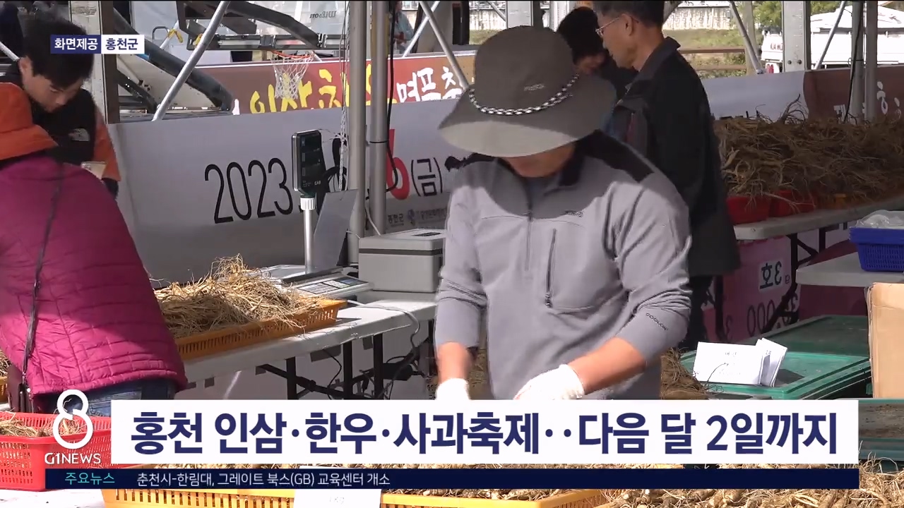 홍천 인삼·한우·사과축제..다음달 2일까지