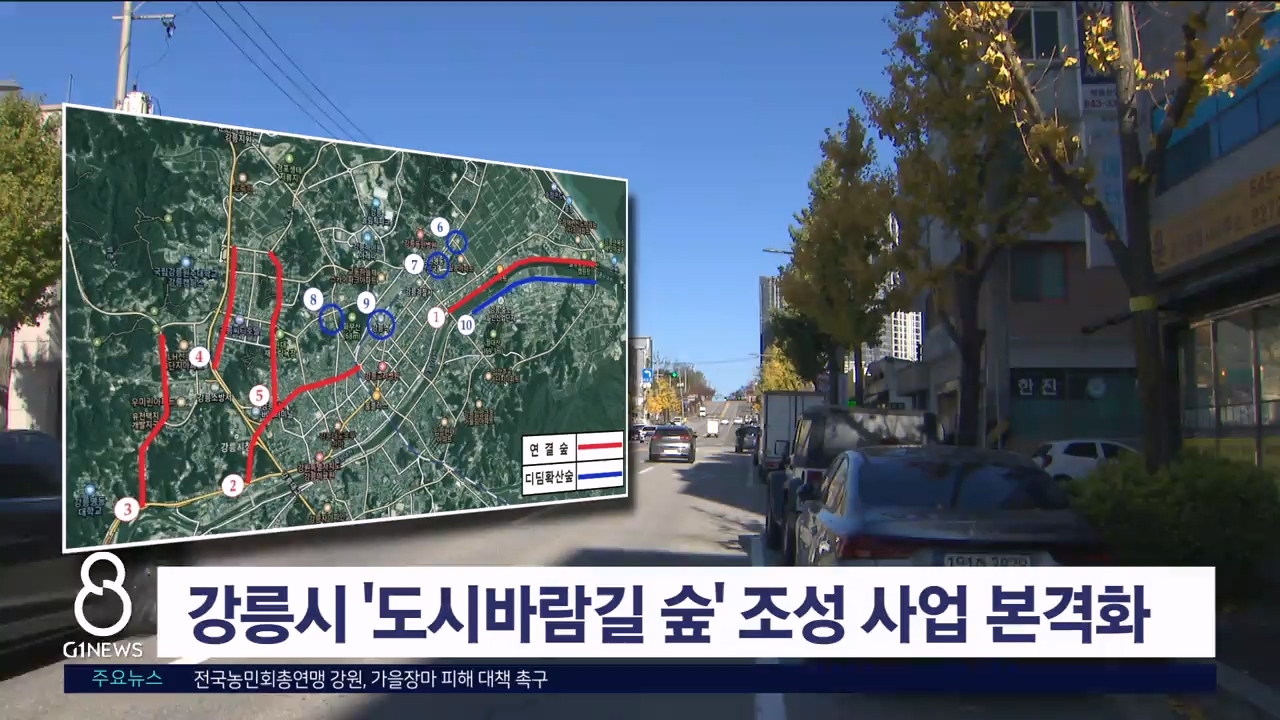 강릉시, '도시바람길 숲' 조성 사업 선정