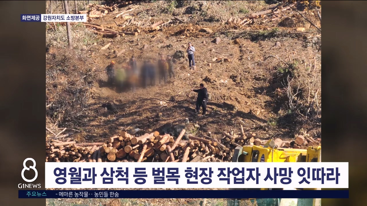 영월과 삼척 등 벌목 현장 작업자 사망 잇따라