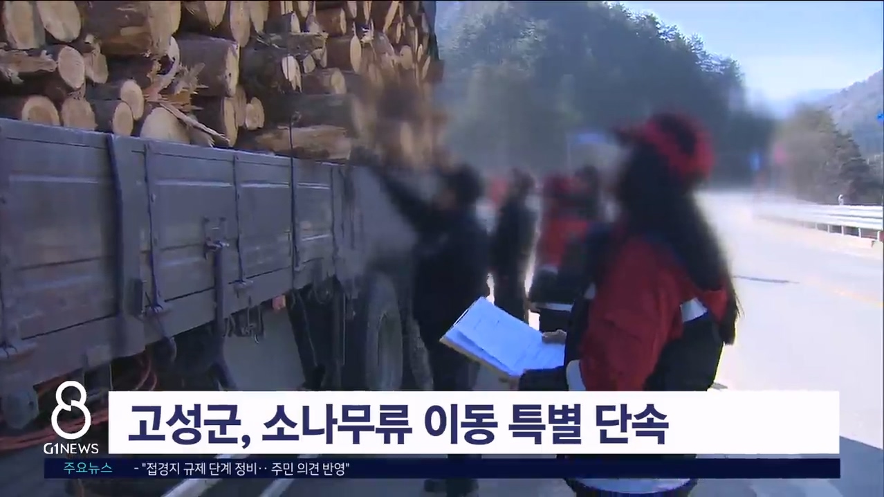 고성군, 소나무류 이동 특별 단속