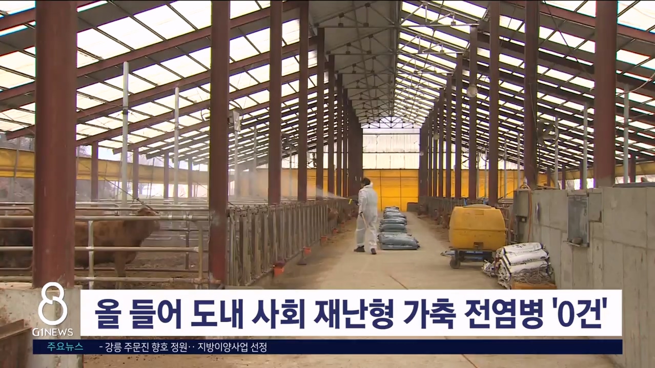 올들어 도내 사회 재난형 가축 전염병 '0건'