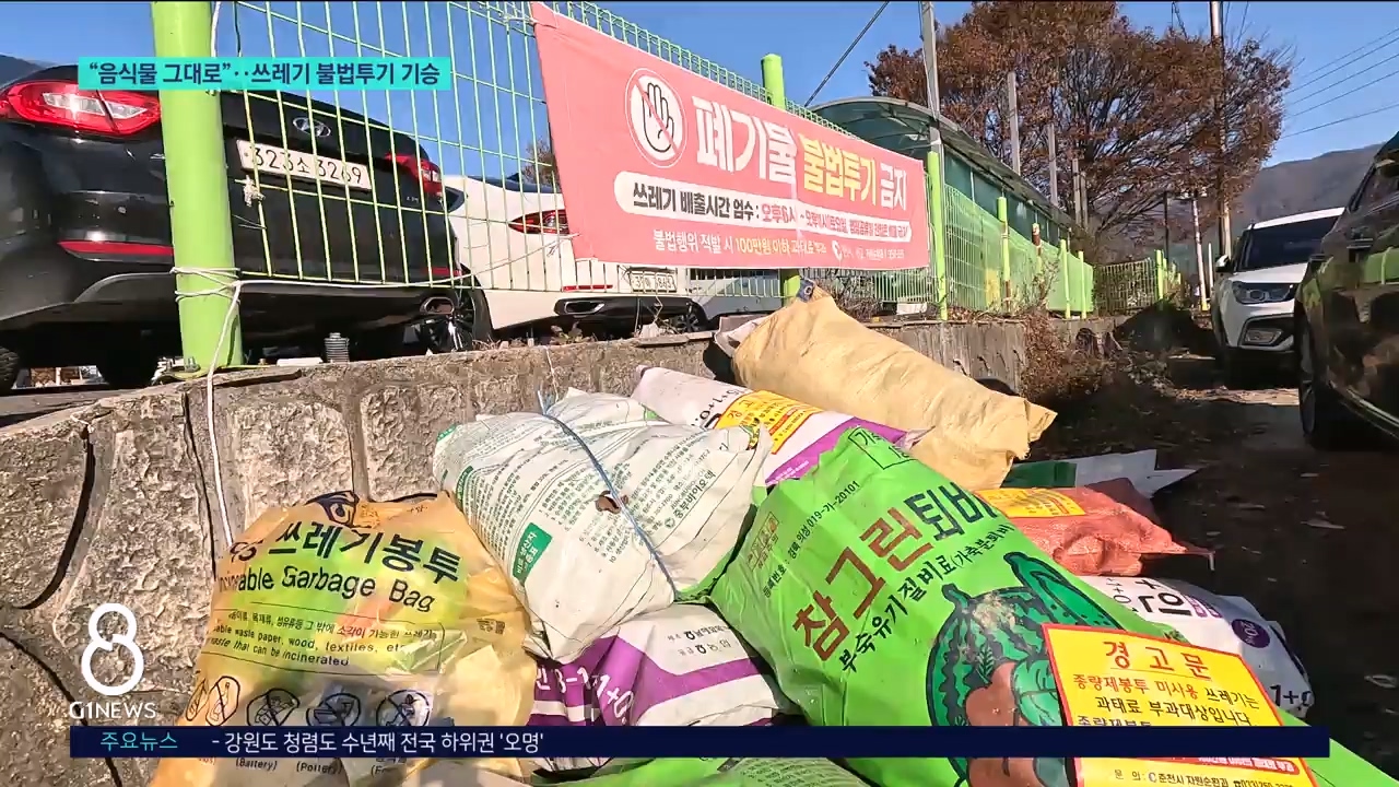 "음식물 그대로"..쓰레기 불법 투기 기승 