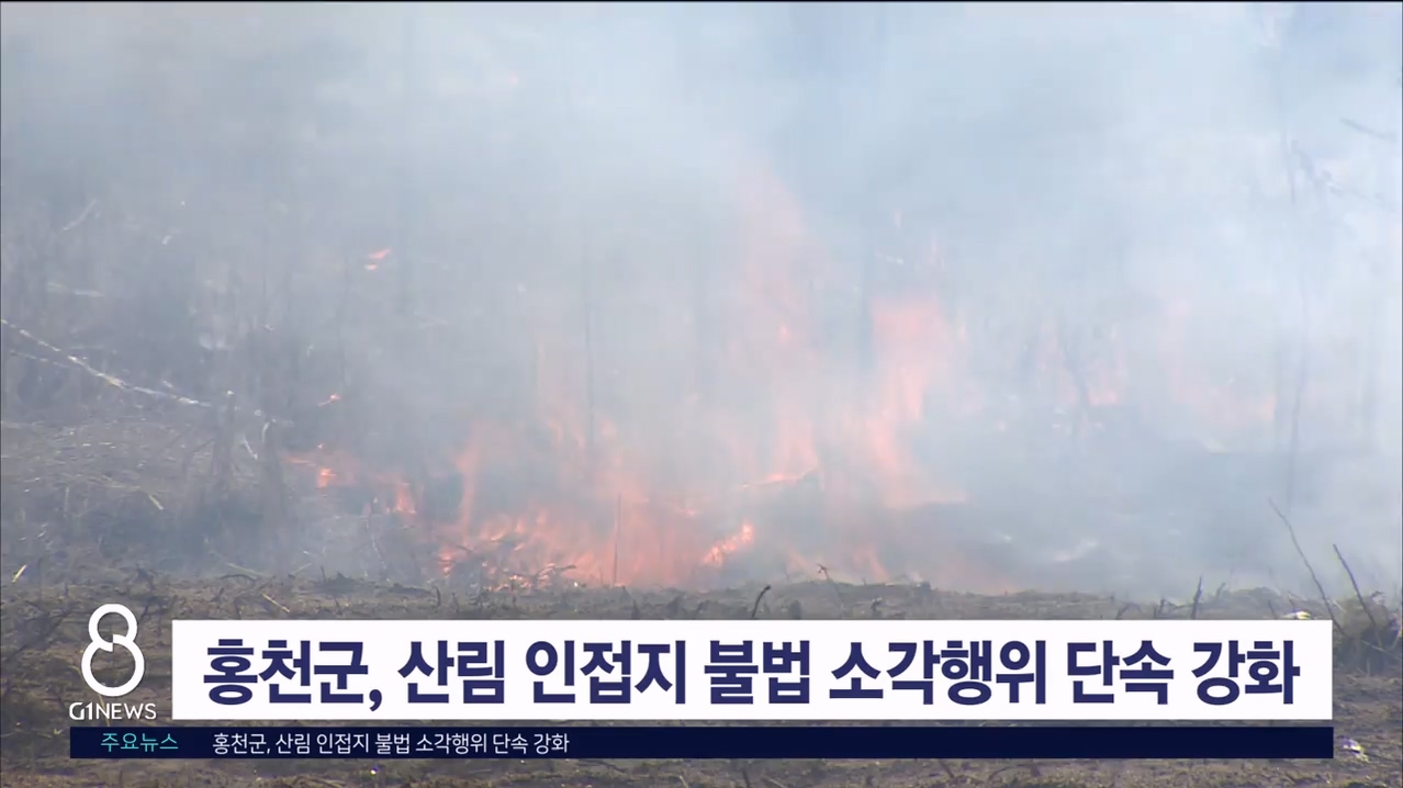 홍천군, 산림 인접지 불법 소각행위 단속 강화